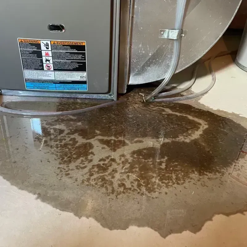 Appliance Leak Cleanup in Lansing, IL